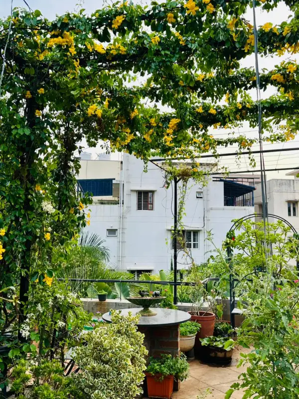 The Garden Heals